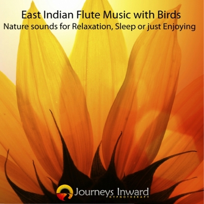 Flute music with birds